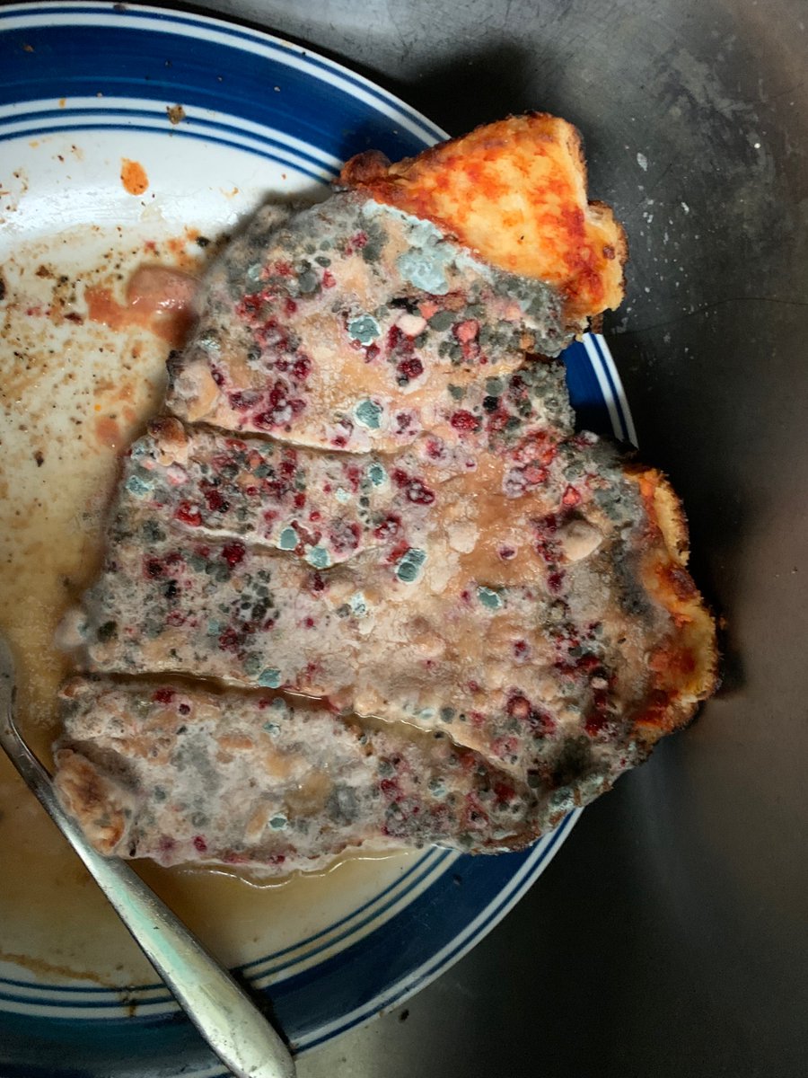 BlackWatchJenn's tweet photo. @GeekEnby Boy can I relate to this one!  Lol!!
Heart shaped moldy pizza in my sink after 12 days in hospital https://t.co/XEn0kW4S5g