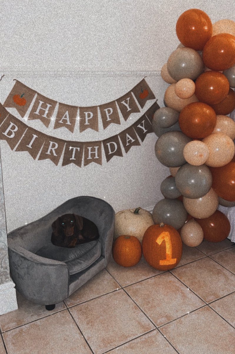 penelope turns 1!
happy birthday to my favourite pumpkin🤍