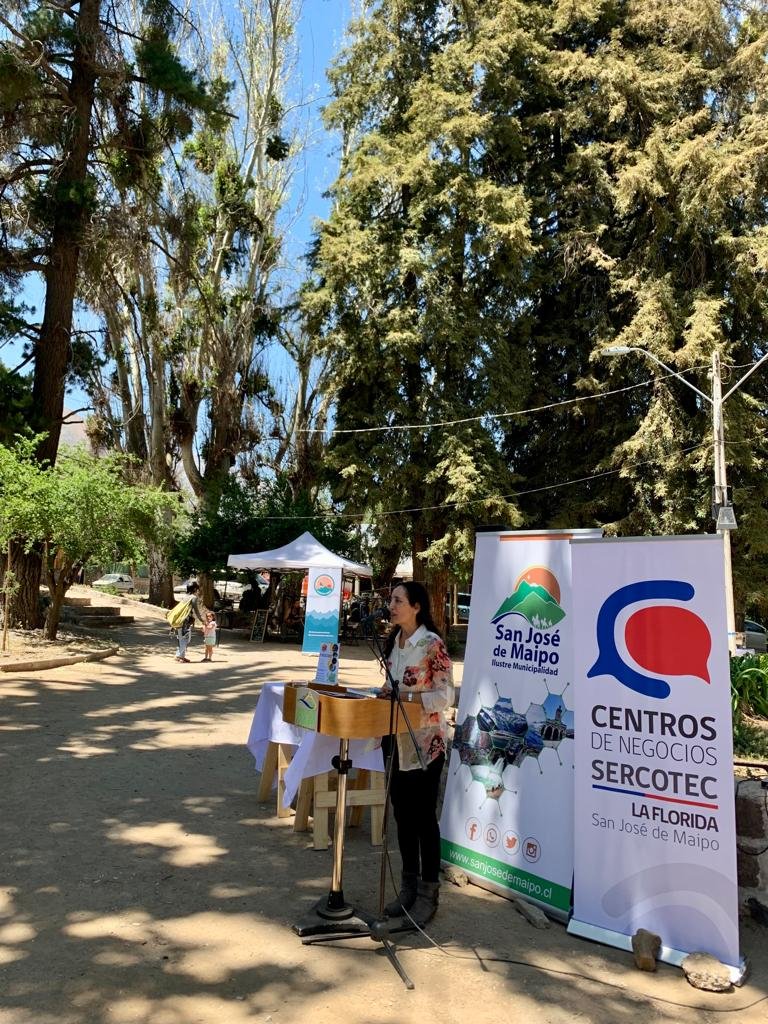 Sernatur RM tweet media