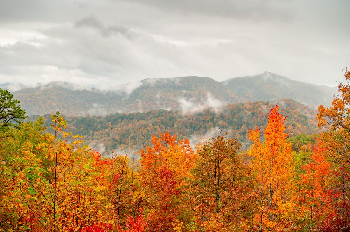 #fallfoliage in Bell County #Kentucky The colors won’t last long, enjoy it ...