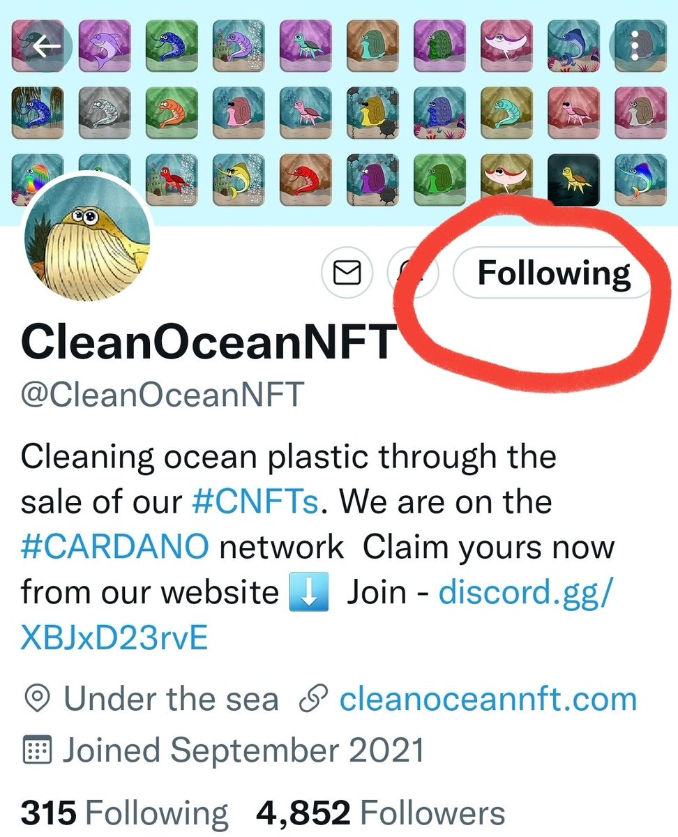 NFTWynLambo's tweet photo. @K9NFT @CleanOceanNFT These are beautiful ocean creatures! Liked, Retweeted, and Following both:
@Fishing_Clash 
@oceanexplorer 
@Fishy_Friends https://t.co/QKsd6wOmJl