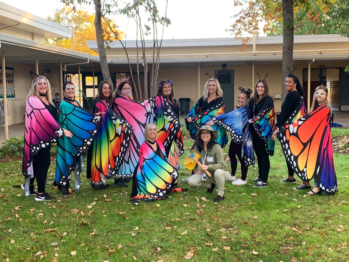 Chapmancats's tweet photo. Halloween is always fun at Chapman! Be safe this weekend! #itsagreatdaytobeacat #chapmanproud https://t.co/K2wwohrDMX