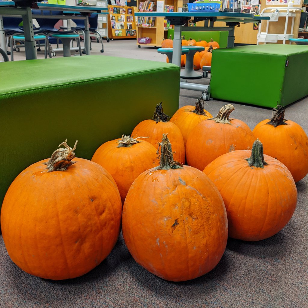 TalmeyLLC's tweet photo. So much spooky fun this week! Our LLC hosted a temporary 🎃 patch, a bird dissection lab, and a plethora of #batweek/ Halloween themed stories &amp; crafts 🦇👻 Everyday, we are so thankful for our flexible furniture &amp; space! #sd38learn #rtla38 #bctla https://t.co/Nz0SHfrhJl