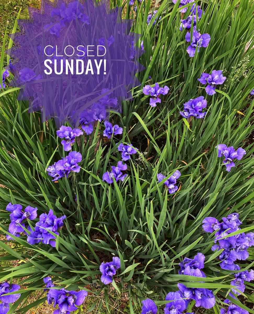 The Motley Kitchen tweet media