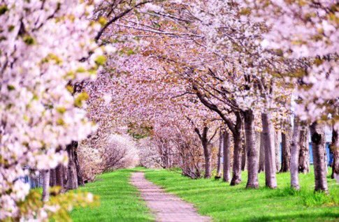 Toneykonrad's tweet photo. Beautiful🌺🥰 https://t.co/bkfeBelohA