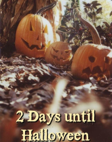 SubRosaMagick's tweet photo. #witchesbelike #Halloween #halloween2021 #HalloweenTime #samhain #pagan #wicca #witchcraft #witchtwt #witchtwtpl #witchesoftwitter #spirituality #magick #Occult #witchlifestyle #witchy #seasonofthewitch #witchtober2021 #halloweencountdown https://t.co/eq8hX6fNUI