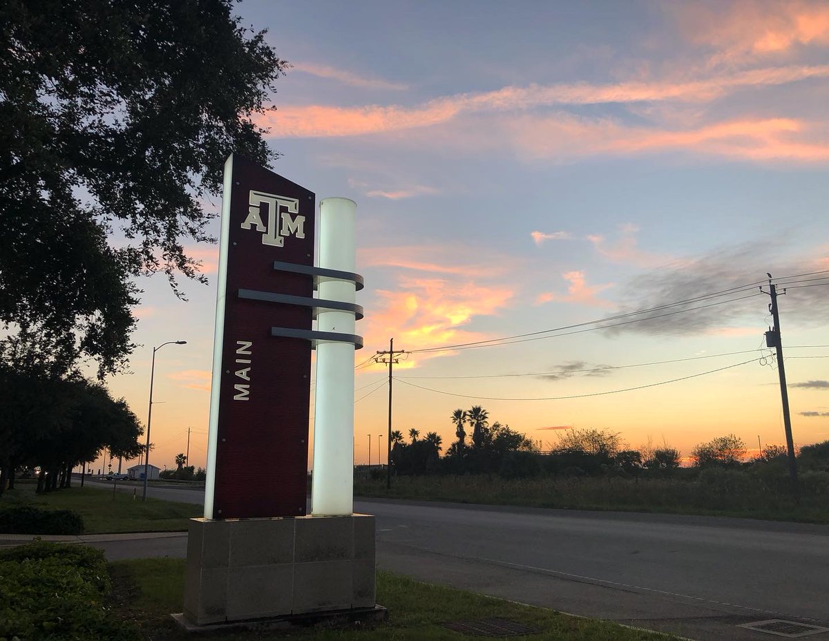 AggiesByTheSea's tweet photo. The sunsets on the island this week have been 👍🌅🤌 https://t.co/UvjAGAZK93