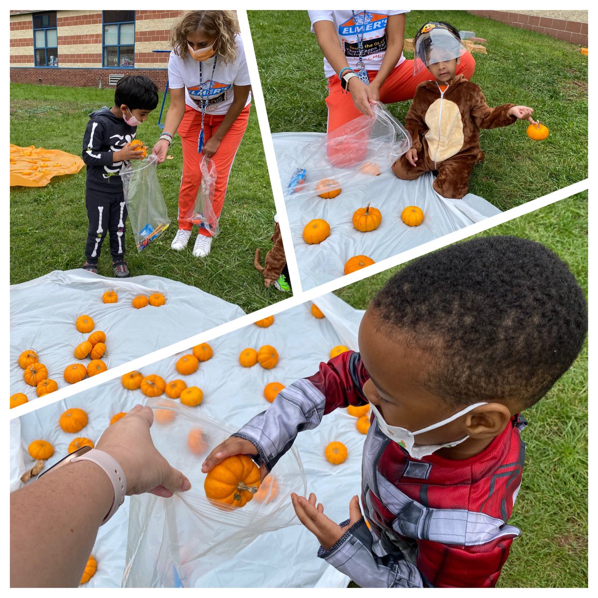 MrsThornsWorld's tweet photo. We had a great time at the Halloween parade and picking pumpkins from the patch! #HalloweenattheNBTECC #NBTPreschoolStrong #MrsThornsRoseGarden @NBTECC @mrpassner @MissJessica_216 https://t.co/Ckw6eGhnXs