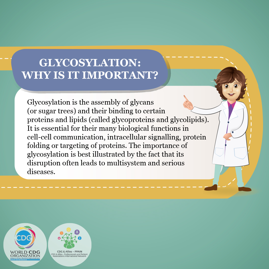 World CDG Organization tweet media