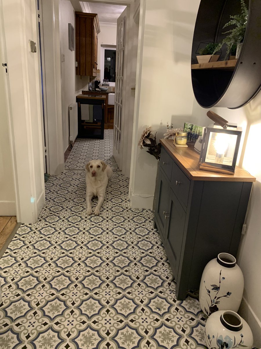 St_Burridge's tweet photo. Fantastic flooring fitted by @DarbyCarpets this afternoon #CaptainKeith 😍 https://t.co/8dx3YuANde