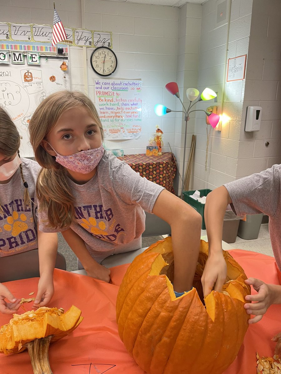 haystravelers's tweet photo. Pumpkin Day @PleasantUnionYR #formhypothesis #pumpkinmath #pumpkinscience #analysedata #pumpkinday https://t.co/bkqARQPzmv