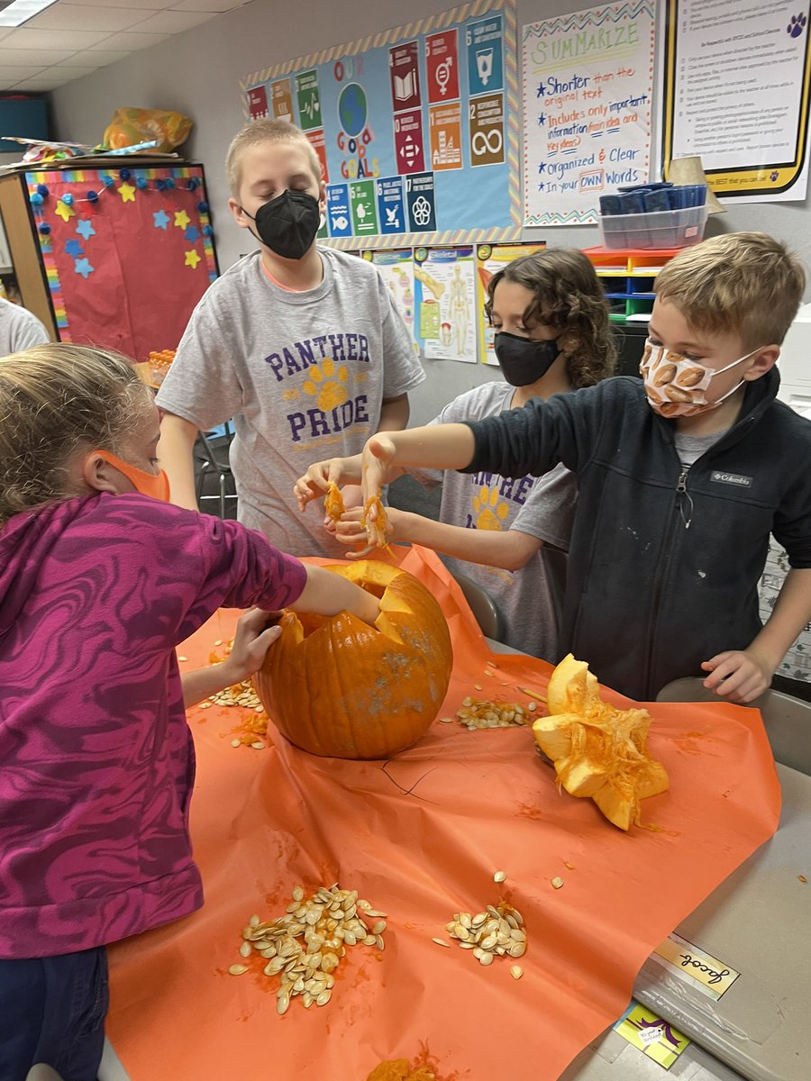 haystravelers's tweet photo. Pumpkin Day @PleasantUnionYR #formhypothesis #pumpkinmath #pumpkinscience #analysedata #pumpkinday https://t.co/bkqARQPzmv