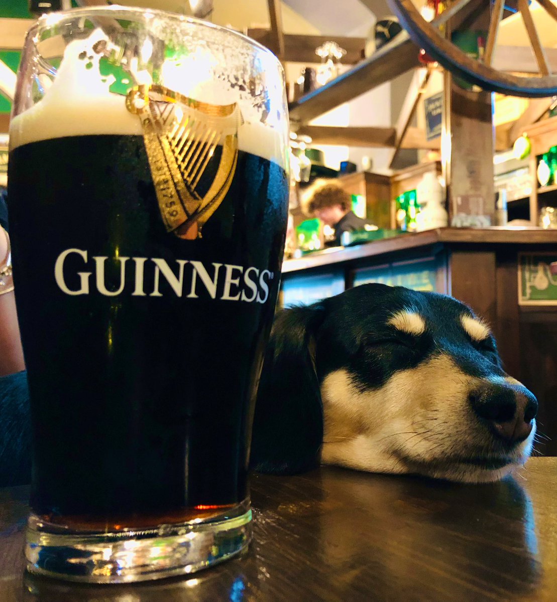 subhuman83's tweet photo. Guinness is good for you! 💚🍺🇮🇪🤌
#blackstuff #beer #pivo #guinnessforstrength #zabijakznusli https://t.co/mHAi4WJB0j