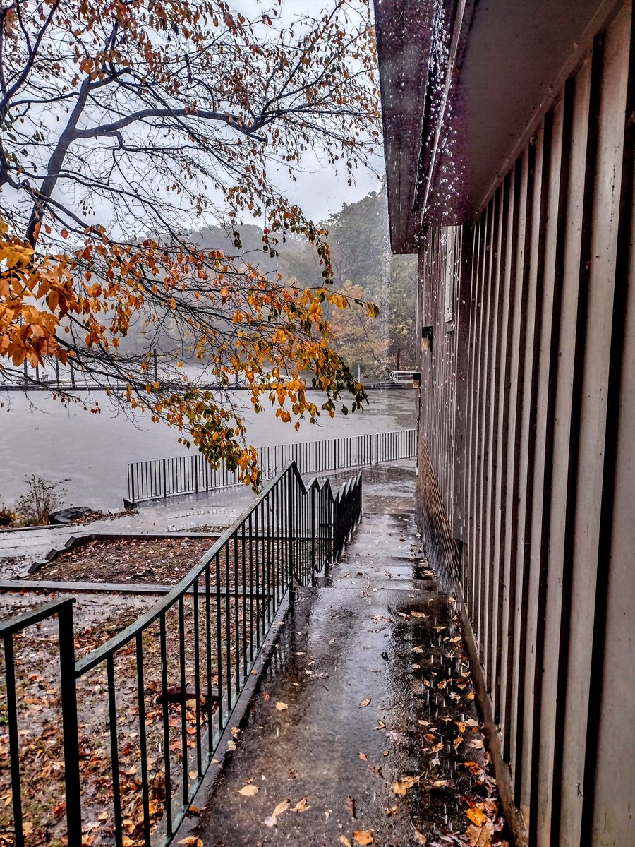 Elnigma3's tweet image. Lovely #LakeNeedwood in the rain today . We also went to #BreadCorner and #PurpleNarwhal  So we got pastries, a Wall of Voodoo Ring of Fire single LP, and a gay magician-demon romance manga.