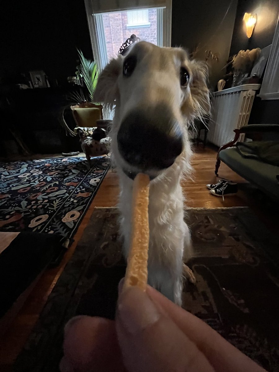 loop_snoot's tweet photo. N O O D L E https://t.co/e2azWsSchK