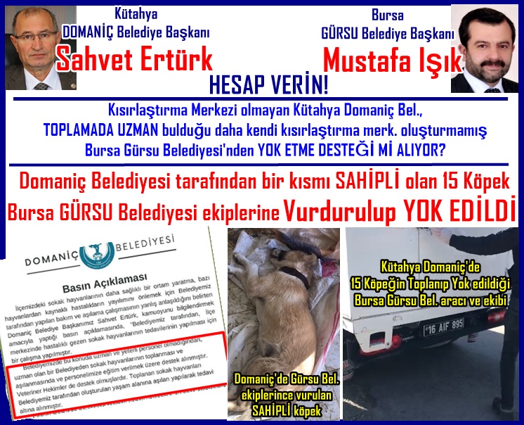 Nihal_K34's tweet photo. Kısırlaştırma merk. olmayan Domaniç Bel., toplamada UZMAN bulduğu kısırlaştırma merk. olmayan Gürsu Bel. YOK ETME DESTEĞİ mi alıyor?
@DomanicBelediye @SahvetE, @gursubeltr @16mustafaisik bir kısmı sahipli olan 15 köpek öldürüldü mü?
@KutahyaValiligi @BursaValiligi @TC_icisleri https://t.co/fzDISma6XU