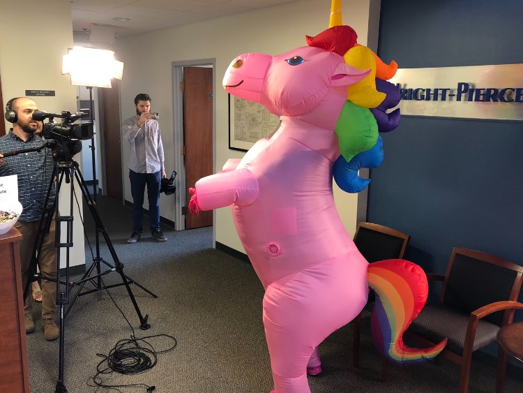 fayedemoura's tweet photo. Working on something fun in our Middletown, CT office yesterday! @5ToolProd have you ever interviewed a unicorn before? @Wright_Pierce #HappyHalloween #WP75 https://t.co/5i9hPNbd2N