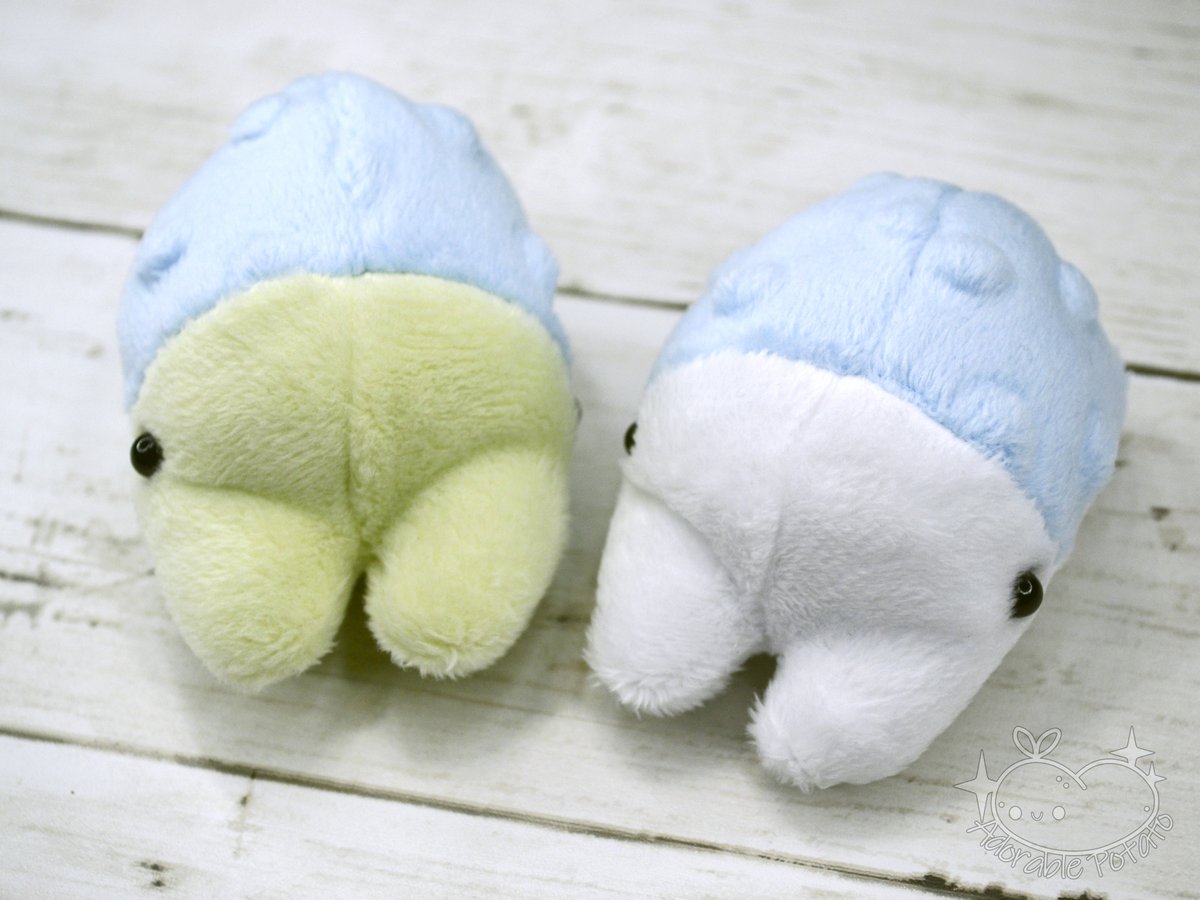 _AdorablePotato's tweet image. Makers! I haven't made a Pocket Snom in months, so I made the pattern available in my digital shop!
🔗in bio 💙 #Pokemon #Snom #PlushPattern