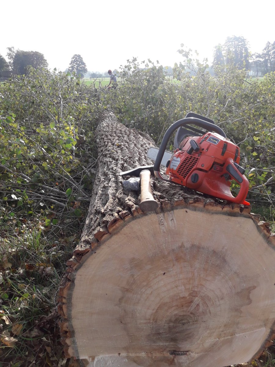 👇Niets mis mee om een verantwoord stuk hout te oogsten en duurzaam te gebruiken. Kwam hem tegen en d8t deel hem even. Trots op ons vak😊