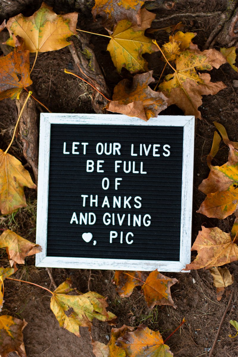 PestFreeLiving's tweet photo. May your laughter be loud and your hearts full. Happy Thanksgiving from Pic Corporation! https://t.co/K5zNFFERNQ