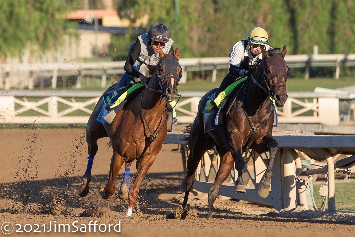 kimo16's tweet photo. Triple Tap with Erick Garcia outside of Rockefeller with Juan Ochoa worked 5F in 59.40 this morning for Hall of Fame trainer Bob Baffert @santaanitapark @BreedersCup @baffert_horses @StonestreetFarm @SienaFarmKY @StarlightRacing https://t.co/IFoIS7ekBU