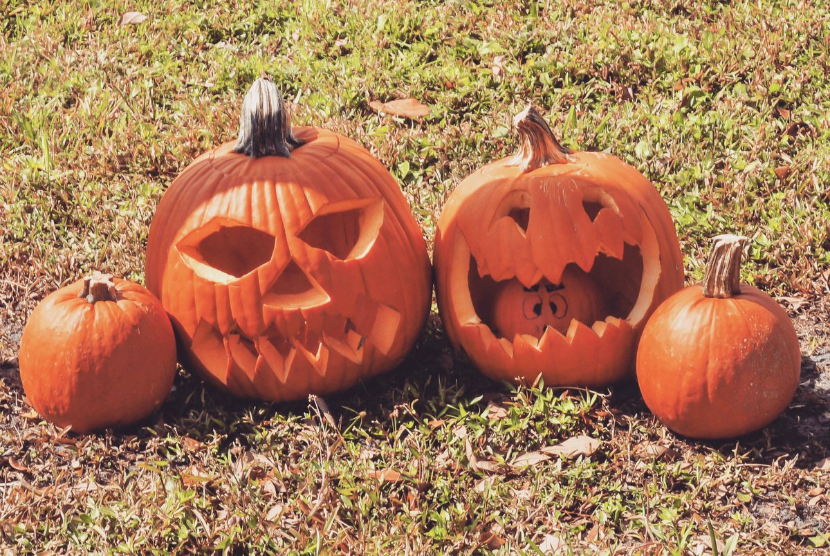 CSVcentralFL's tweet image. Have a spooky safe weekend! 🎃 #spookyseason #happyhalloween