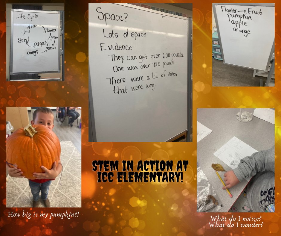 STEM in Action at ICC Elementary!