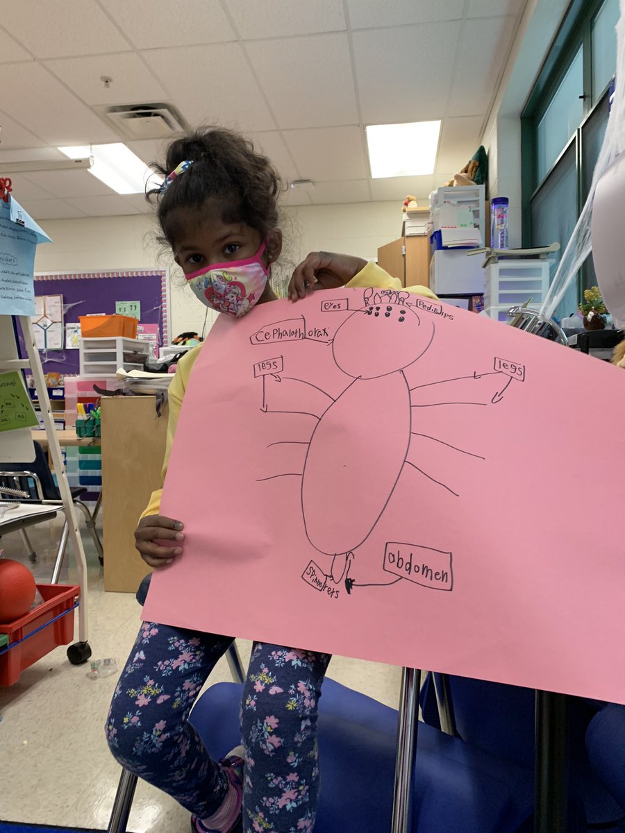 CassyBethel's tweet photo. Students learned about spiders and chose how to share thru art, songs, timelines, building, all about books, posters etc. Many said it was the best day so far this year! #personalizinglearning https://t.co/Hq9wrgn09H
