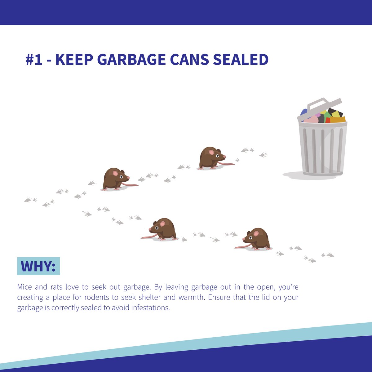 PestFreeLiving's tweet photo. Follow our step by step guide to stop #rodent infestations before they happen.
#howto #infographic #diy #prevention #pestfree #homeowner #citylife #tips #lifehack https://t.co/EXmv9KjdoI