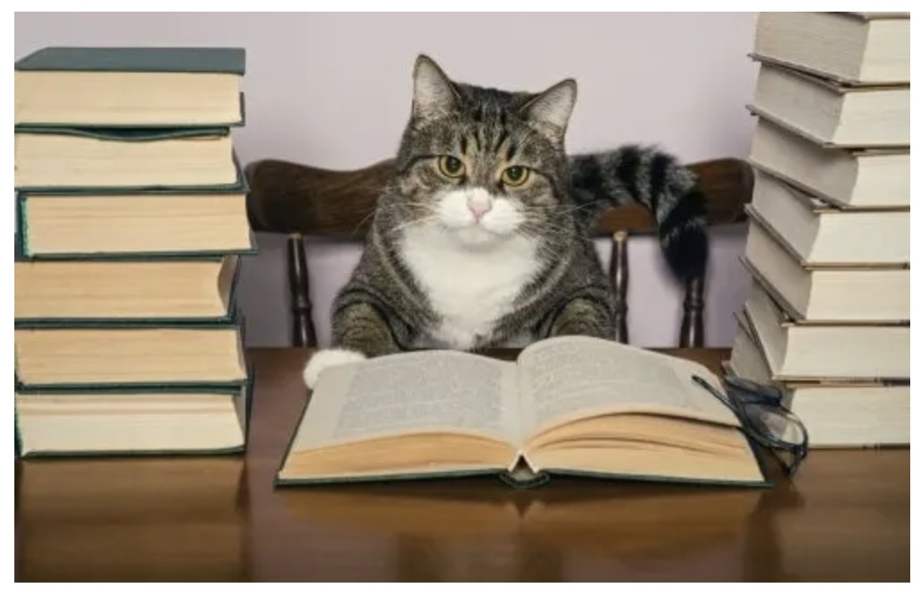 Townsend Press tweet media