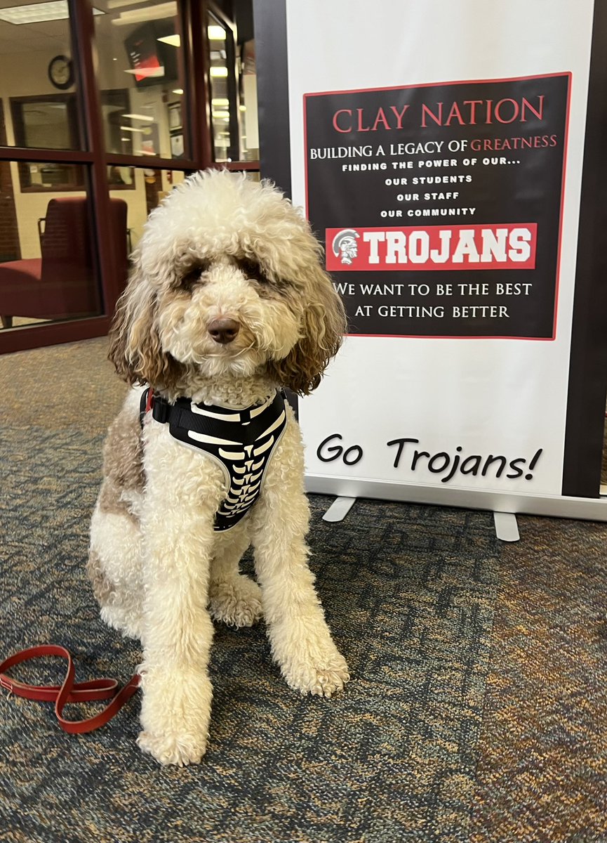 Wishing my Clay family a safe and fun 🎃👻 weekend!