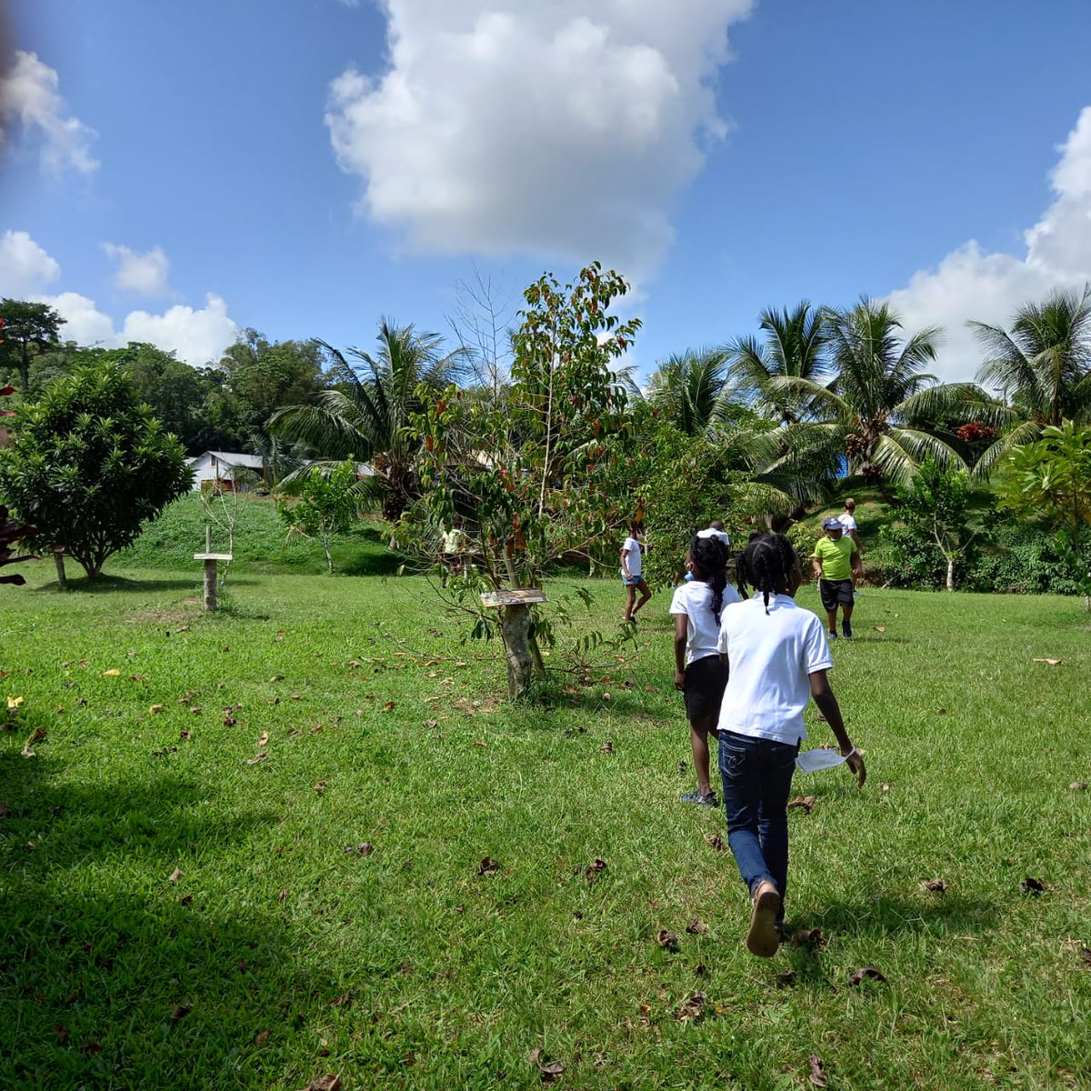 Les élèves de #EcoleOuverte #AndrivonMilton s’imprègnent des richesses du #terroir rural de #Martinique à travers vergers et jardins tropicaux associés à l’usine #Denel au #GrosMorne et #PIL #Royal : jus, confitures et compotes. <a href="/acmartinique/">Académie de Martinique</a> <a href="/EPrioritaire972/">Edu_Prioritaire972</a> <a href="/CircoFdF1/">Circo FORTdeFRANCE 1</a> <a href="/fdfville/">Fort-de-France Ville</a>
