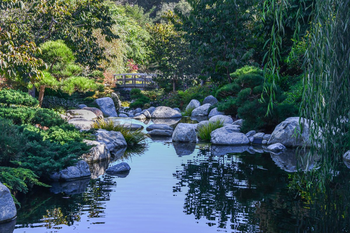 ExploreBP's tweet photo. Taking advantage of the beautiful weather! @jfgsandiego!
#BalboaPark #JapaneseFriendshipGarden #garden #sandiego #allthingssd #localsandiego #mysandiego #park #japan #japanese #travel #explore #beautiful #bridge #explore #outdoors #instagood #photography #photo https://t.co/rw2WVl1tww