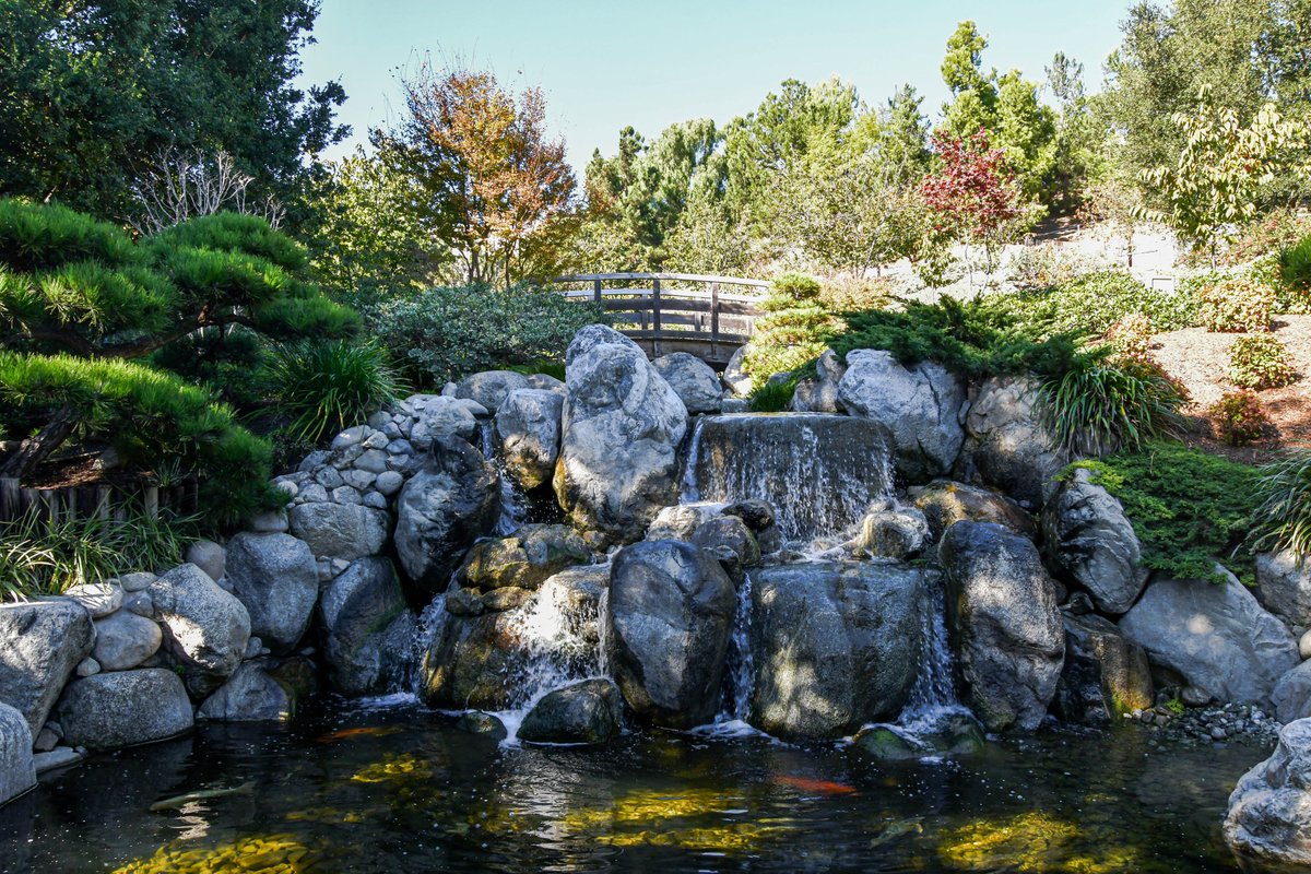 ExploreBP's tweet photo. Taking advantage of the beautiful weather! @jfgsandiego!
#BalboaPark #JapaneseFriendshipGarden #garden #sandiego #allthingssd #localsandiego #mysandiego #park #japan #japanese #travel #explore #beautiful #bridge #explore #outdoors #instagood #photography #photo https://t.co/rw2WVl1tww