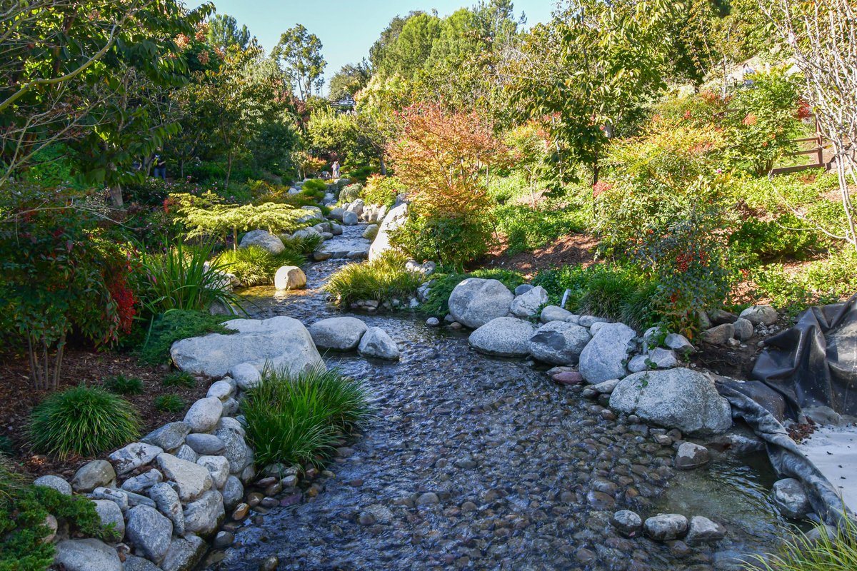 ExploreBP's tweet photo. Taking advantage of the beautiful weather! @jfgsandiego!
#BalboaPark #JapaneseFriendshipGarden #garden #sandiego #allthingssd #localsandiego #mysandiego #park #japan #japanese #travel #explore #beautiful #bridge #explore #outdoors #instagood #photography #photo https://t.co/rw2WVl1tww