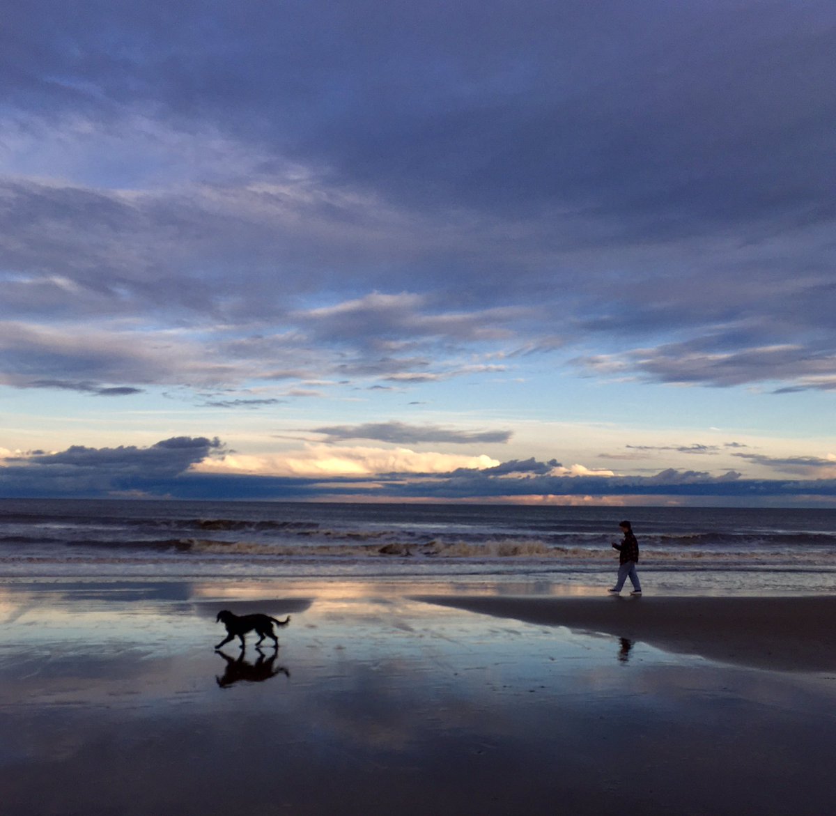 kitbailey's tweet photo. Wide open spaces #Lincolnshire #lifewithstella #houndsoflove #firstbeachtrip https://t.co/ipeCz24KDl