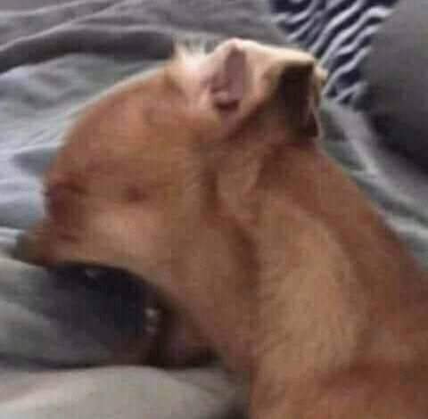 q bronca,los del team no me dan de comer