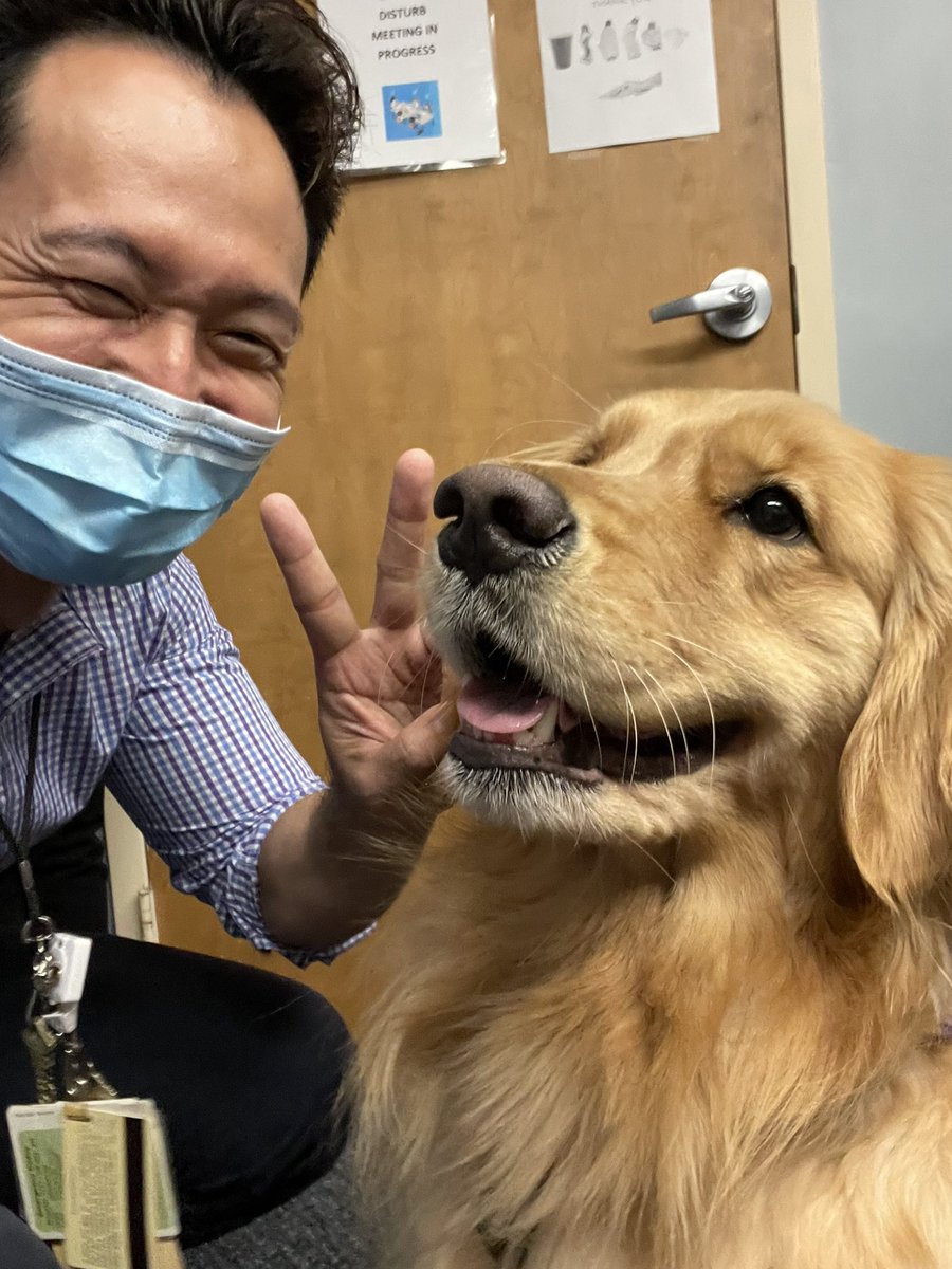jsparkblog's tweet image. Had some visitors today at the hospital, supporting patients and staff. 😊🐶🕸 #hospital #supportdog #chaplain