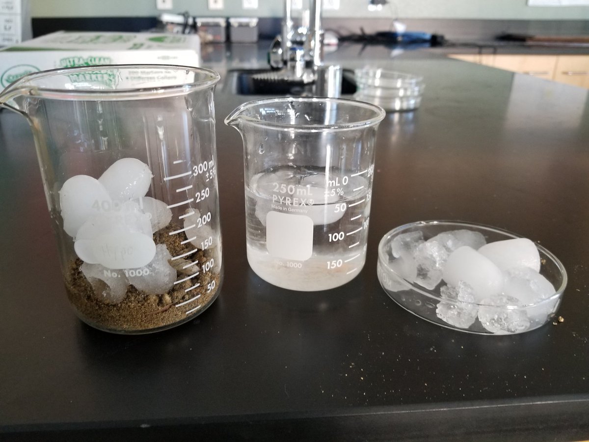 Sarah Elwin tweet media