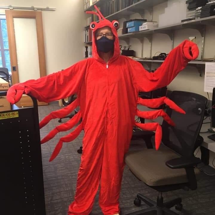 ugalibs's tweet photo. Happy Halloween weekend and Fall Break from #UGALibraries! (And congrats to our staff costume contest winner Rachel Parnell!) Remember that you can still find your treats in book form at Main and Science through the weekend, but @ugamlc will be closed Saturday and Sunday. https://t.co/TNRXbLjH9b