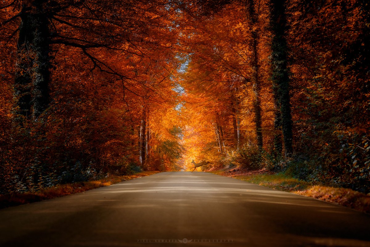 Pixel Komando (@pixelkomando) on Twitter photo 