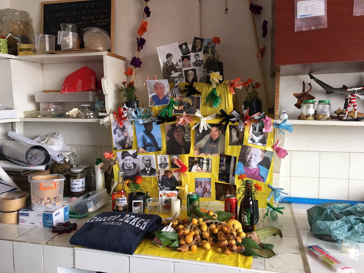 Chondrolab tweet media