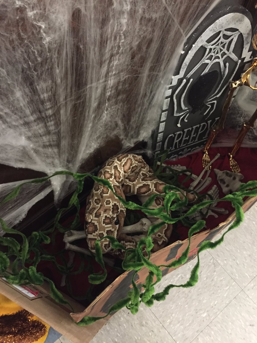 andGRASSI's tweet image. Hearing the kids say: OOOO TAKE A PHOTO OF ME IN THE COFFIN brings joy to my heart #HalloweenLibrary