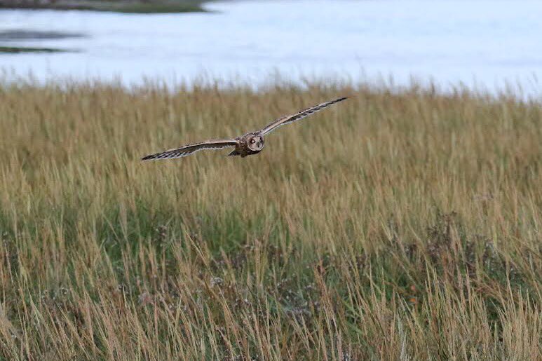 John McNally tweet media