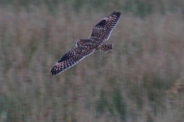 John McNally tweet media