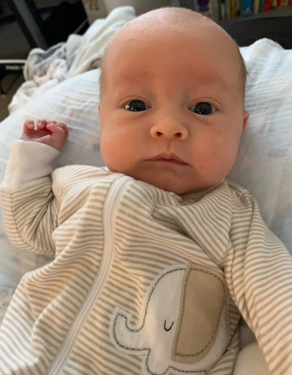 sjonas1225's tweet photo. perfection only exists in ~ 🤍🧁
babies & pastries #carterj #gbabes https://t.co/juAzB2Q1XU