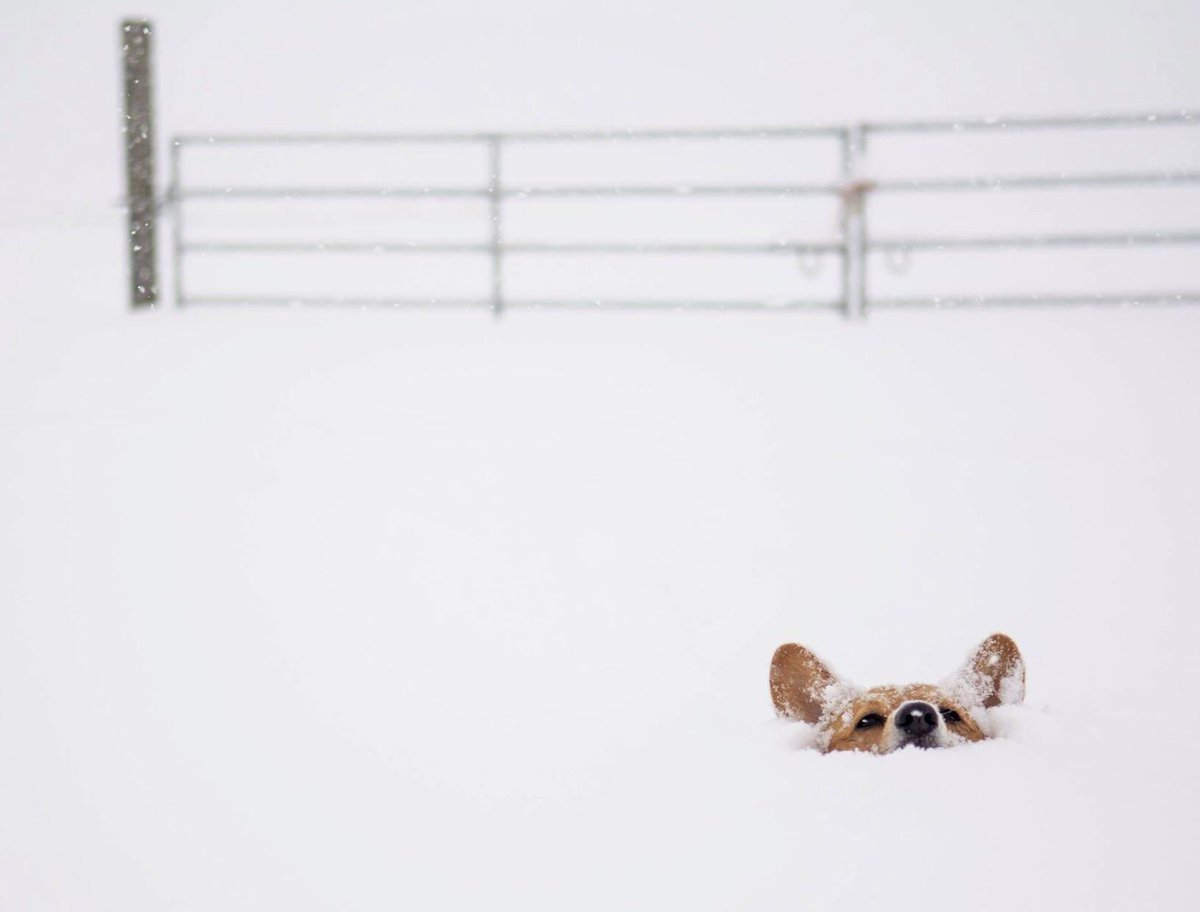 The four stages of winter.