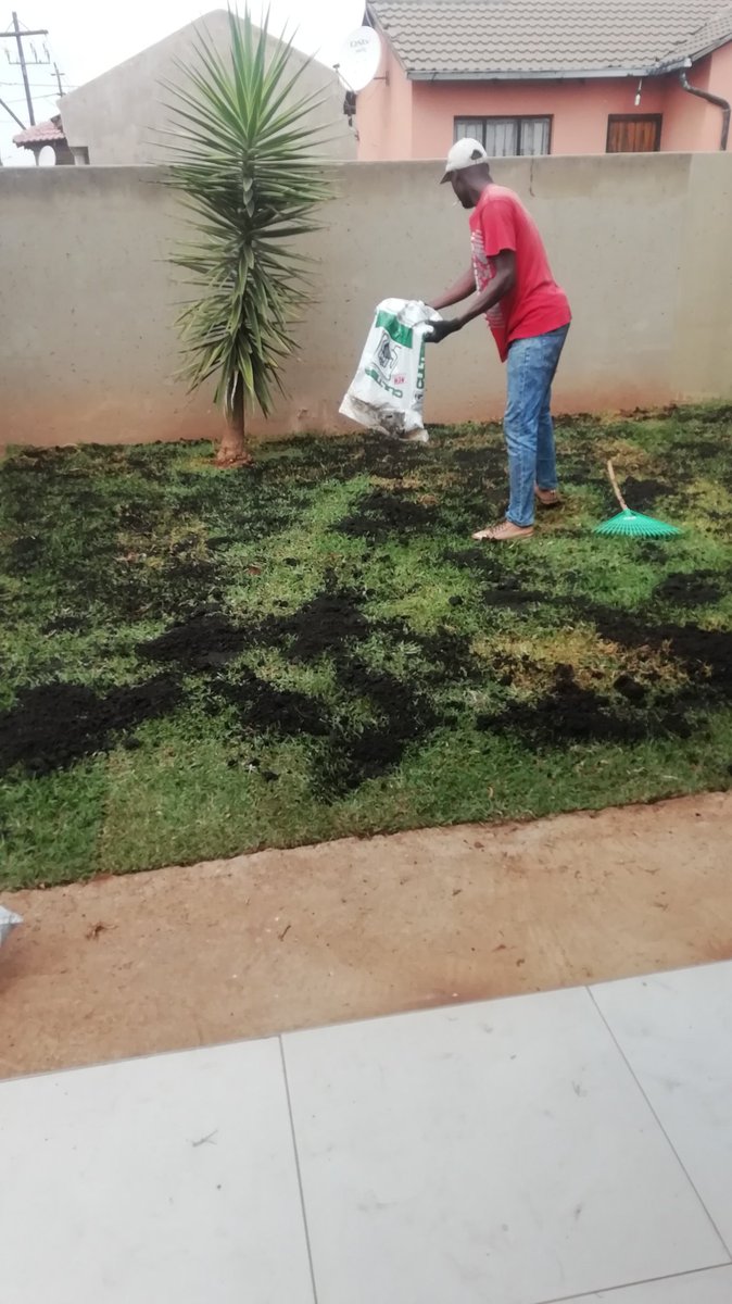 AmukeloProjects's tweet photo. If you want rubbish don't call us, CALL THEM.
Our number is 0814505918
We sell LM, Evergreen, Kikuyi
#AmukeloProjects /#DJSBU /Dineo Ranaka / Tbo Touch #frog https://t.co/IGBgSeAKDi