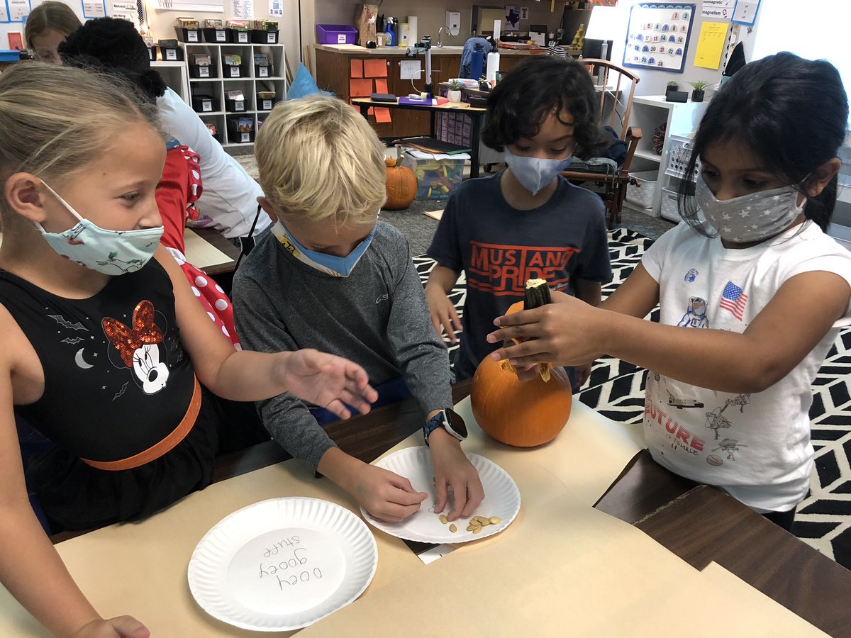 How many seeds are in a pumpkin?? 🎃 These scientists had fun going through the scientific method to find out! #risdpoweroflove