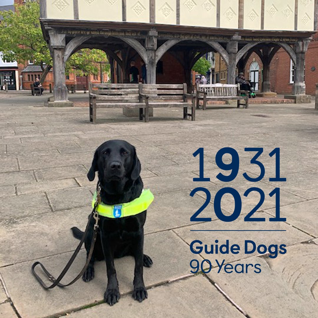 LeicsGuideDogs's tweet photo. Sky is celebrating #GuideDogs90 as a @SponsorAPuppy by @sainsburys #MarketHarborough, had #PuppyTraining in #Oadby and now a @guidedogs in #MarketHarborough. Thanks to The Three Pots @PostOffice #burbage who kindly host one of our counter-top collecting dogs. #GuideDogsFamily 1/2 https://t.co/2nD40GA6mq